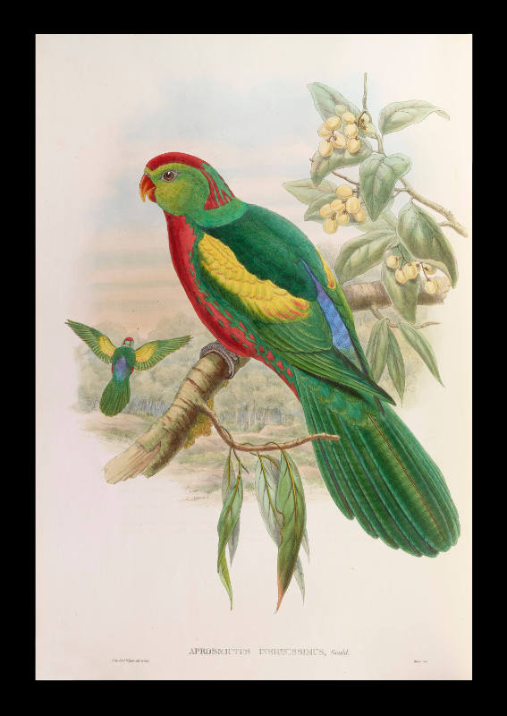 John Gould