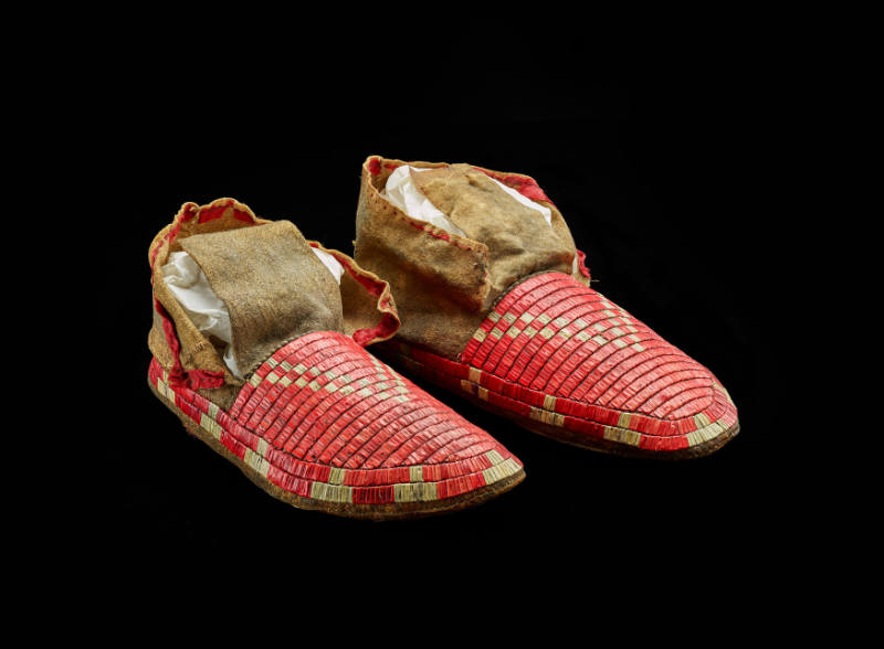 Moccasin