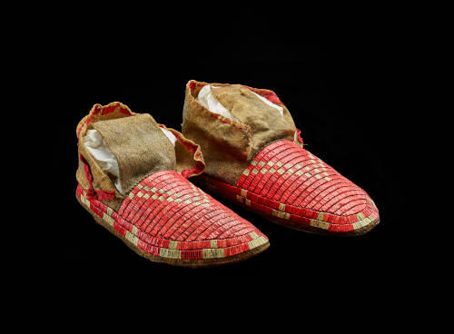 Moccasin