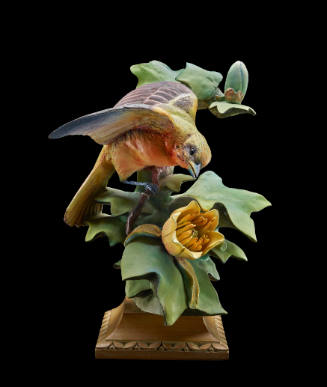 Baltimore Orioles and Tulip Tree