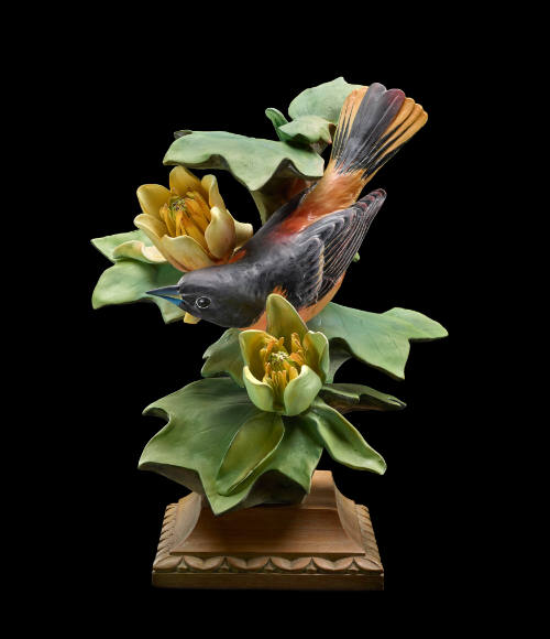 Baltimore Orioles and Tulip Tree