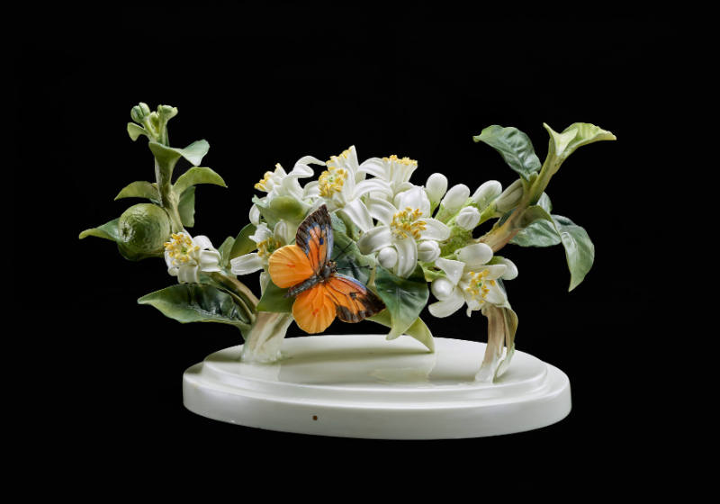 Orange Blossom Sprays