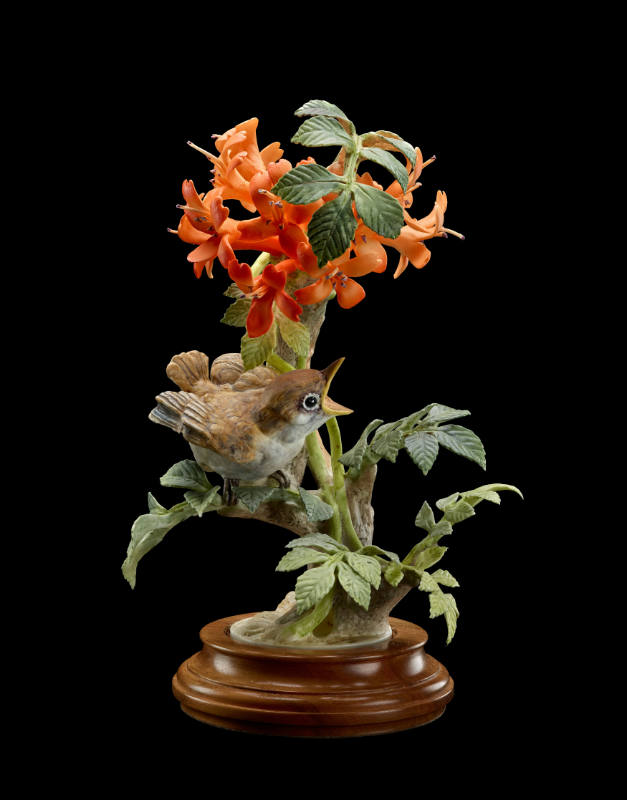 Phoebes and Flame Vine