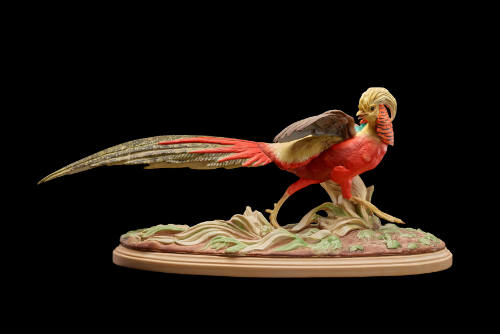 Golden Oriental Pheasant