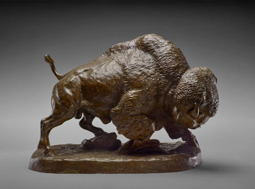 American Buffalo