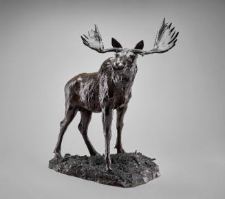 Moose