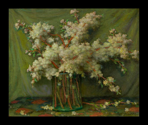 Wild Plum Blossoms