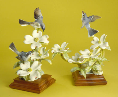Blue-Grey Gnatcatchers and Dogwood