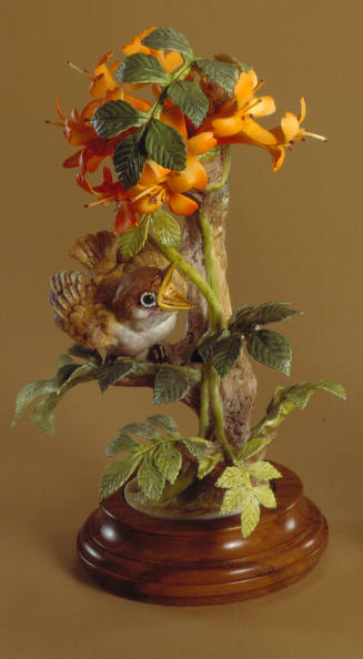 Phoebes and Flame Vine
