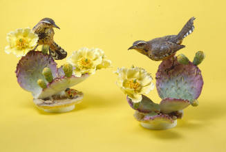Cactus Wrens and Prickly Pear