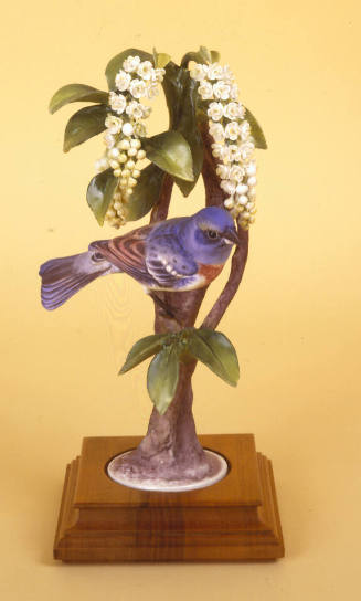 Lazuli Buntings and Choke Cherry