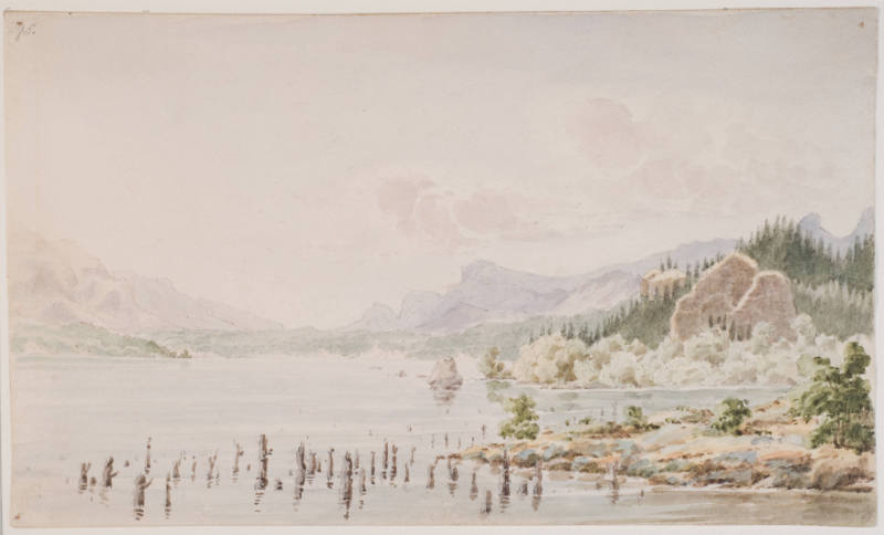 Landslip Above the Cascades
