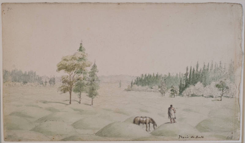 Prairie de Bute