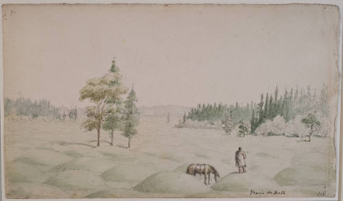 Prairie de Bute