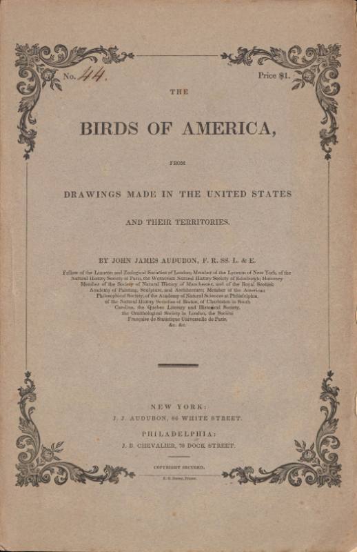 The Birds of America