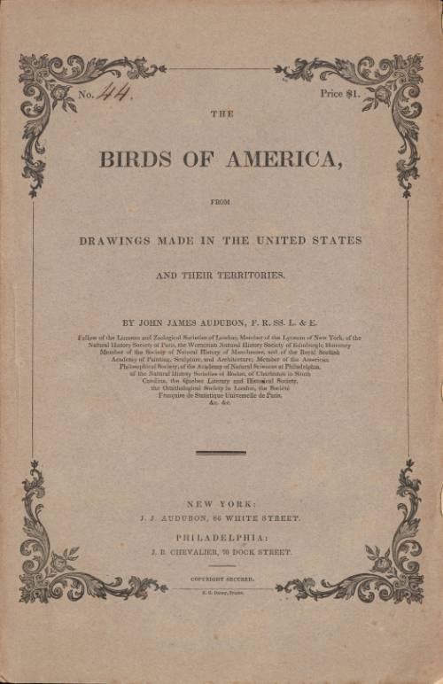 The Birds of America