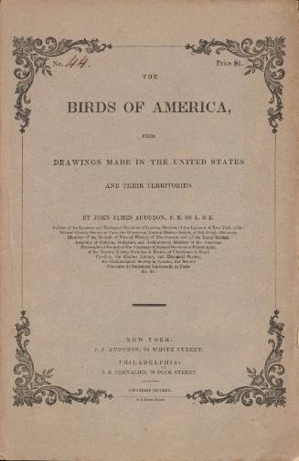 The Birds of America