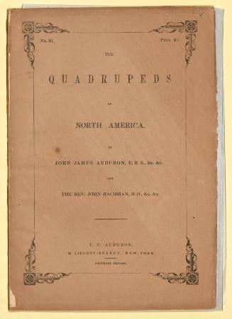 The Quadrupeds of North America