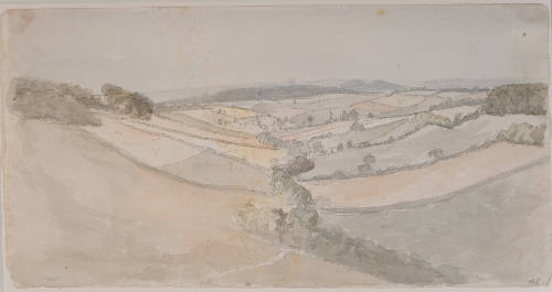 Valley with Fields