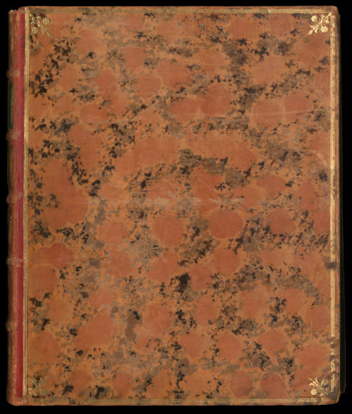 A Natural History of Uncommon Birds and of Some Other Rare and Undescribed Animals, Quadrupedes, Fishes, Reptiles, Insects, etc.