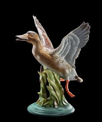 Mallard