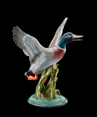 Mallard