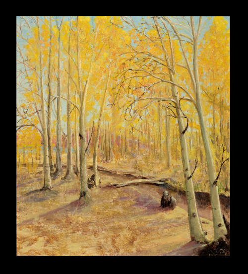 Breathless Beauty of Aspen Grove at Roslyn Ranch, Colorado