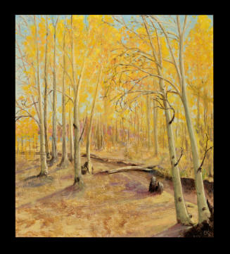 Breathless Beauty of Aspen Grove at Roslyn Ranch, Colorado