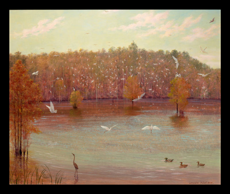 Shangri-La, Egrets and Ducks
