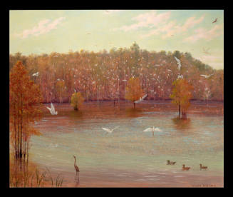 Shangri-La, Egrets and Ducks
