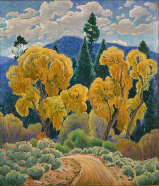 The Road into the Canyon