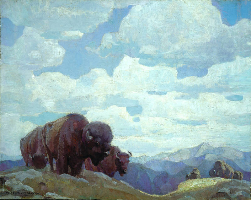Last of the Buffalo
