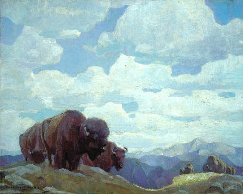 Last of the Buffalo