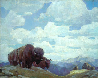 Last of the Buffalo