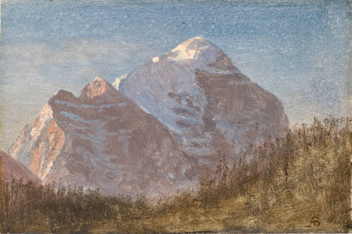 Mountain Study