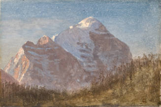 Mountain Study
