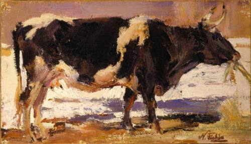 Black and White Cow