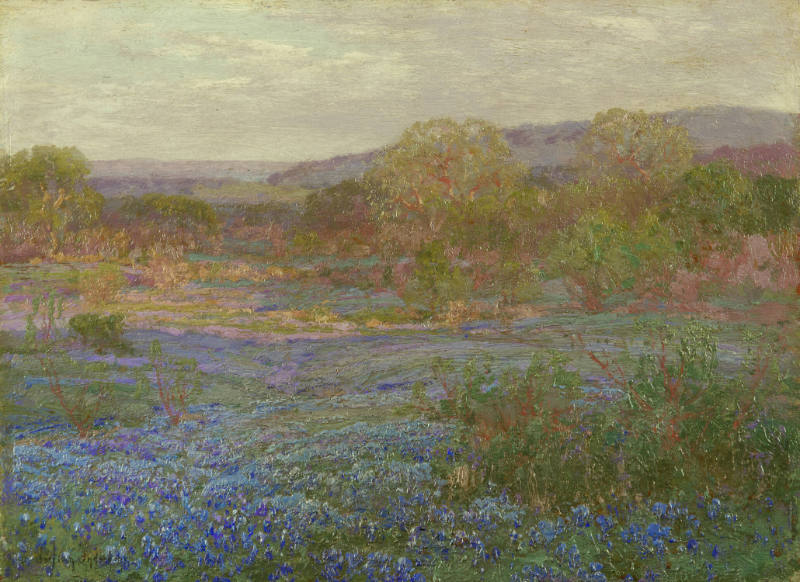 Spring in the Hills