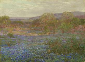 Spring in the Hills