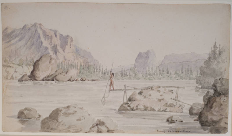 Below the Cascades