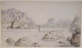 Below the Cascades
