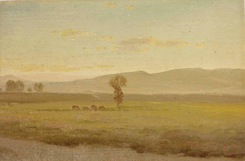 Buffalo on Laramie Plains, Nebraska