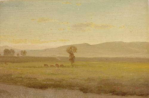 Buffalo on Laramie Plains, Nebraska