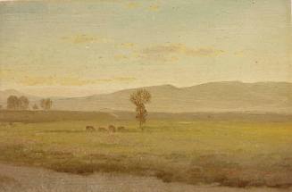 Buffalo on Laramie Plains, Nebraska