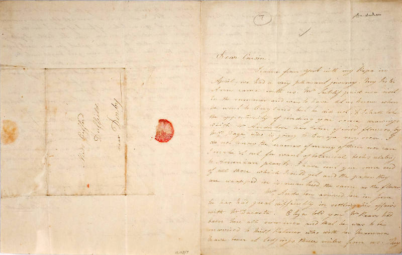 Dear Cousin [Euphemia Gifford]