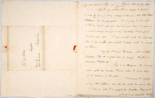 My Dear Cousin [Euphemia Gifford]
