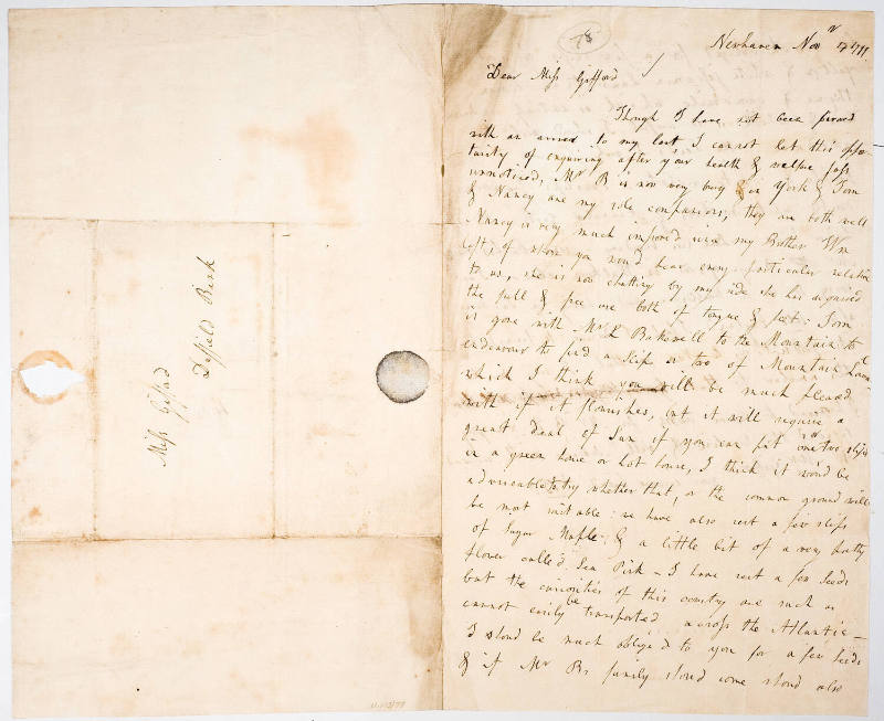 Dear Miss Gifford [Euphemia Gifford]
