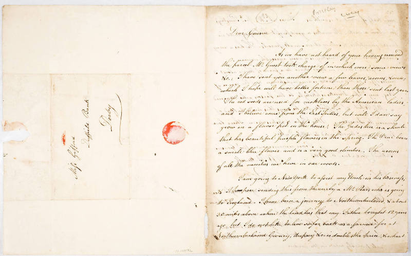 Dear Cousin [Euphemia Gifford]