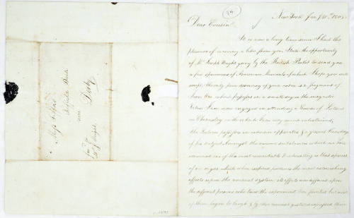 Dear Cousin [Euphemia Gifford]