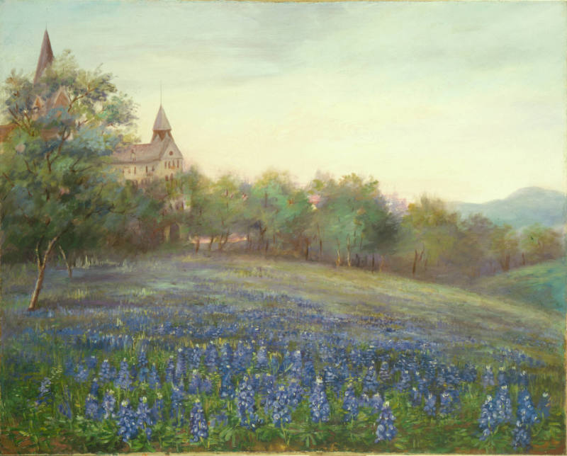 Bluebonnets